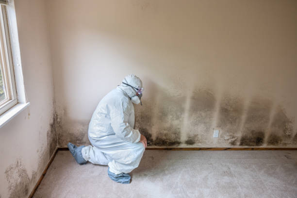 Best Residential Mold Removal  in Glenshaw, PA
