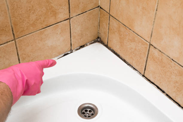 Best Mold Testing  in Glenshaw, PA